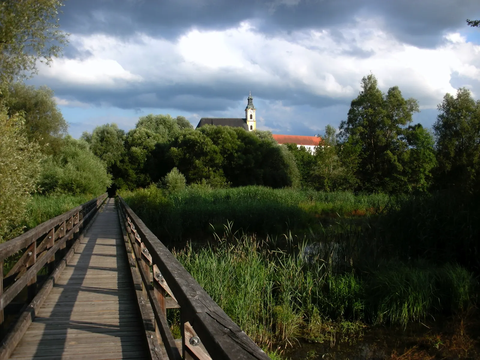Holzsteg durch Schilf und Auwald am Inn bei Reichersberg, im Hintergrund der Kirchturm
